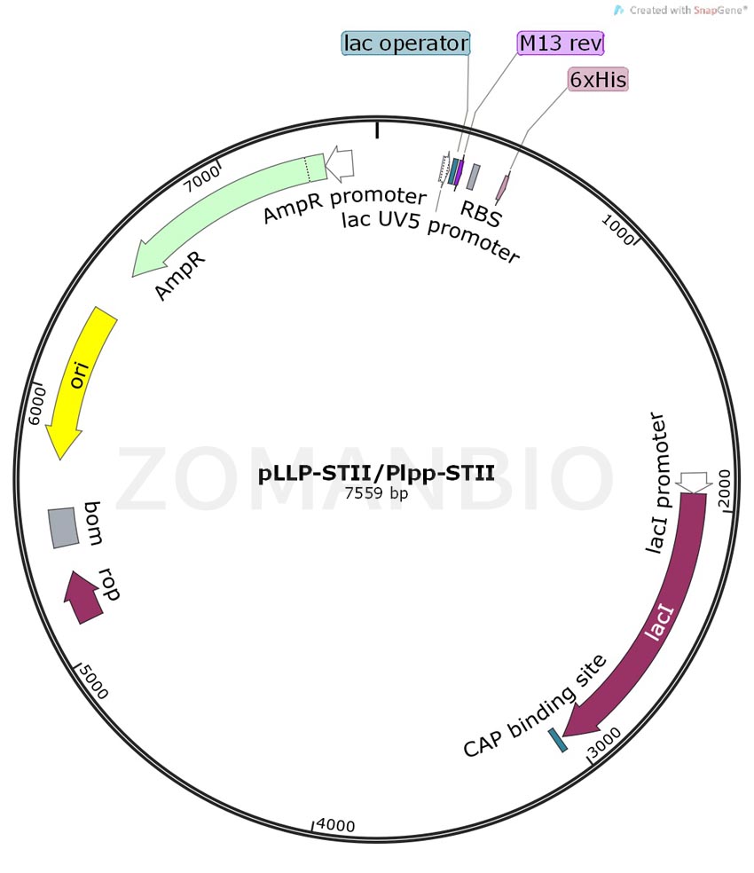 ZK200pLLP-STIIPlpp-STII.jpg